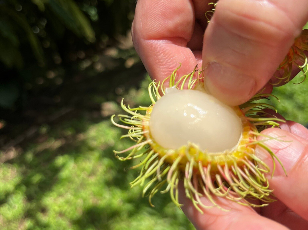 Arenal Vida Campesina-福德圣卡洛斯必去景点