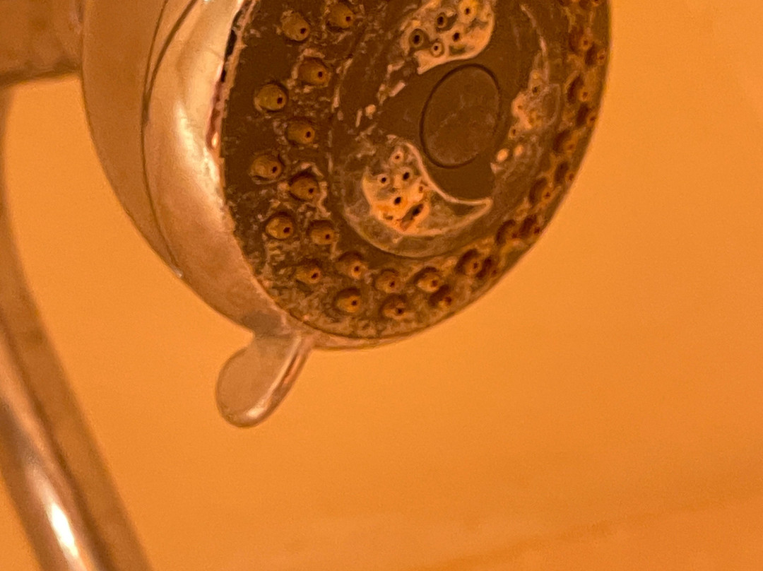 Hardman House Hotel主图