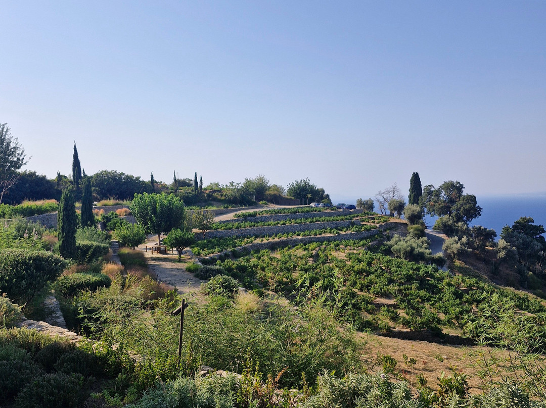 Metaxa Liknon-Vourliotes必去景点