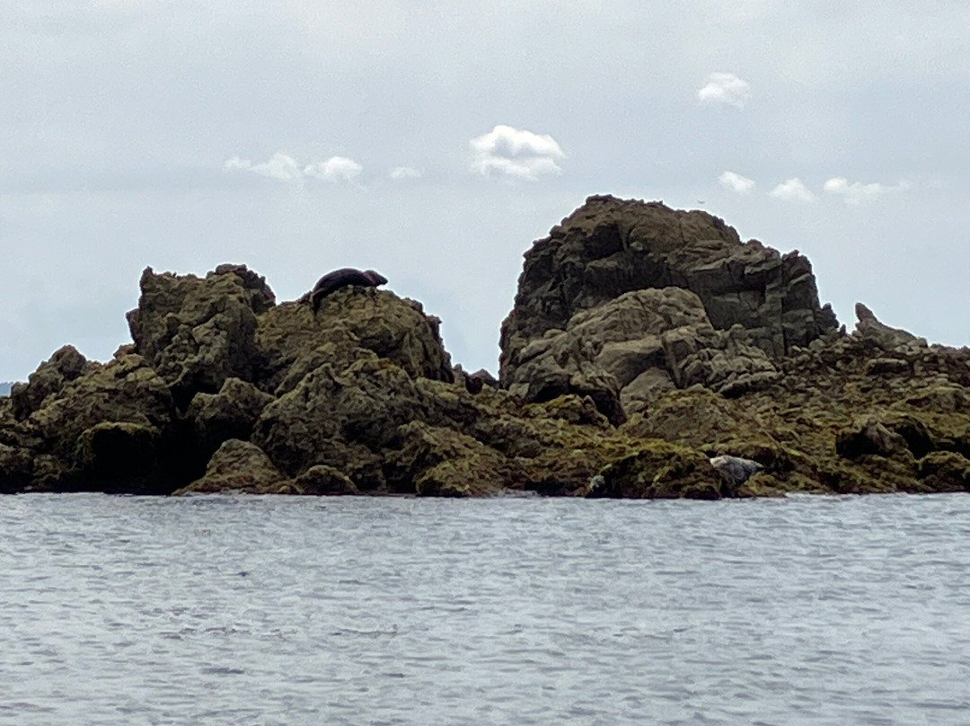 Island RIB Voyages-St Catherine's必去景点