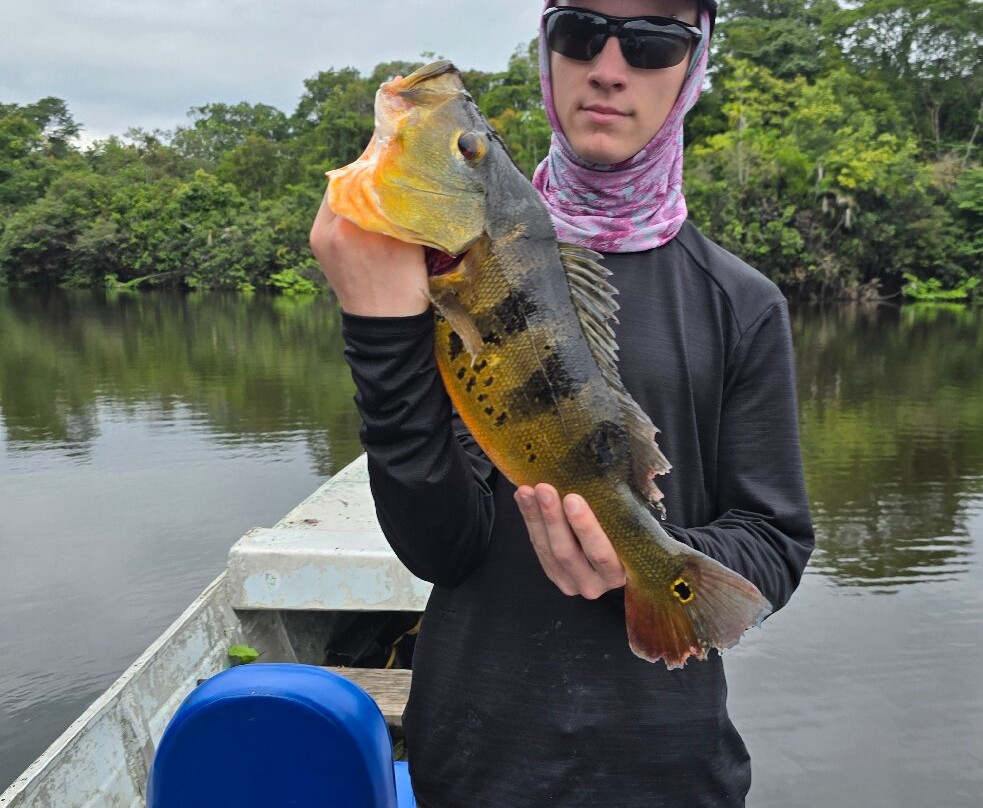 Amazon Wildlife Adventures-伊基托斯必去景点