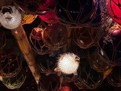 False Idol-圣地亚哥必去景点