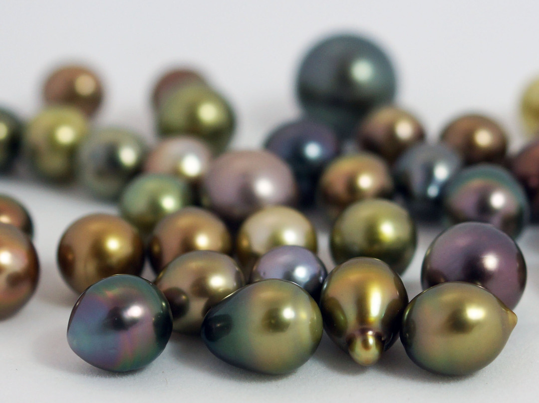 Civa Pearl Farm-塔韦乌尼岛必去景点