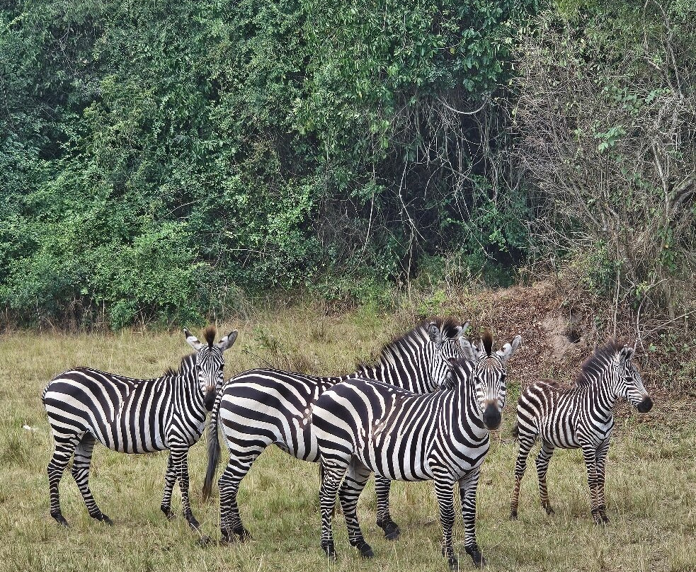 Pinnacle Africa-坎帕拉必去景点
