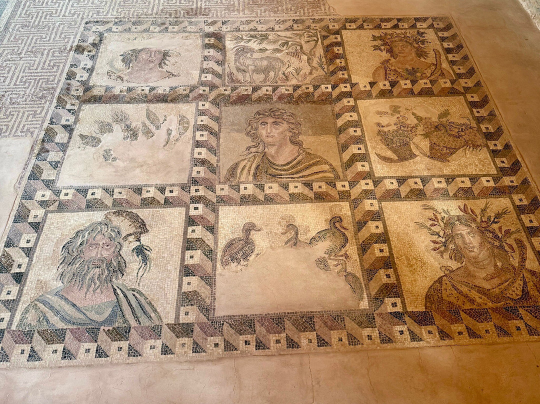 The House Of Dionysus-帕福斯必去景点