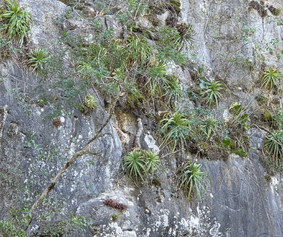 Cânion Do Rio Salobra-Bodoquena必去景点