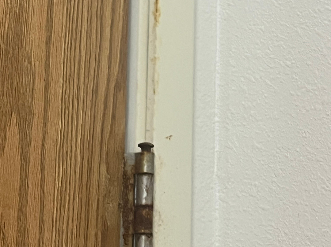 Days Inn & Suites by Wyndham Gresham主图