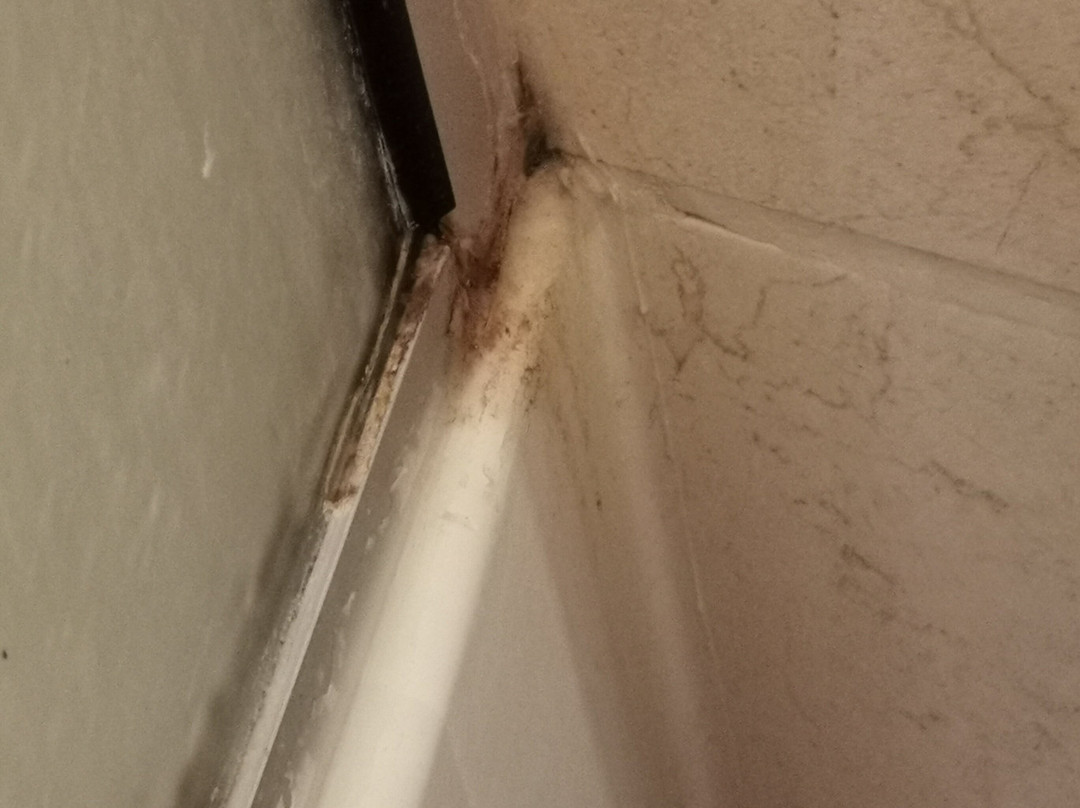 B&B HOTEL Brive-la-Gaillarde主图