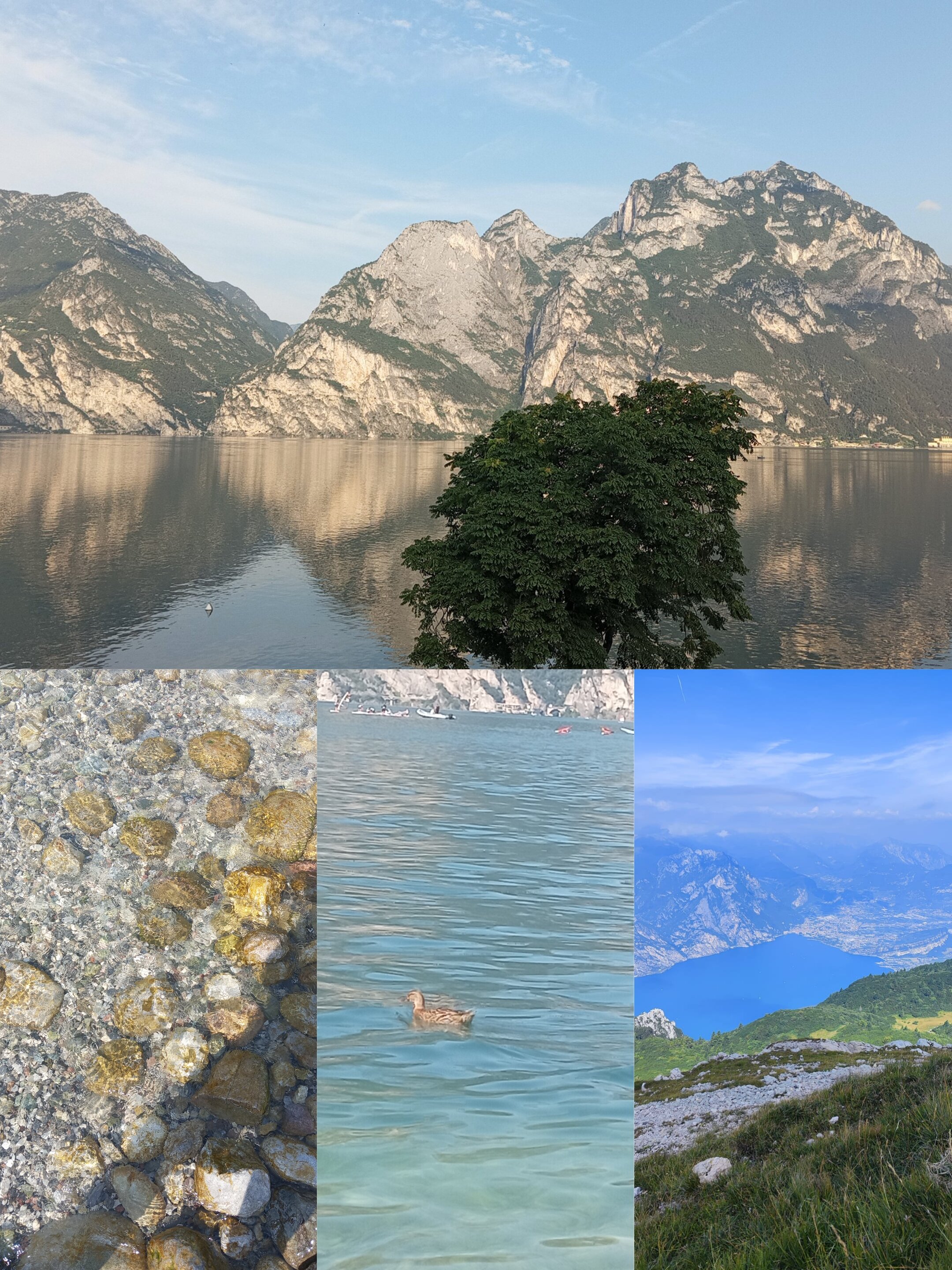 Torbole Aparthotel-官方