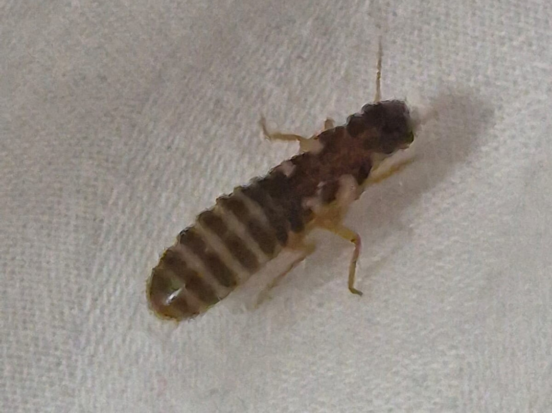 Coorg Cliffs Resort & Spa主图