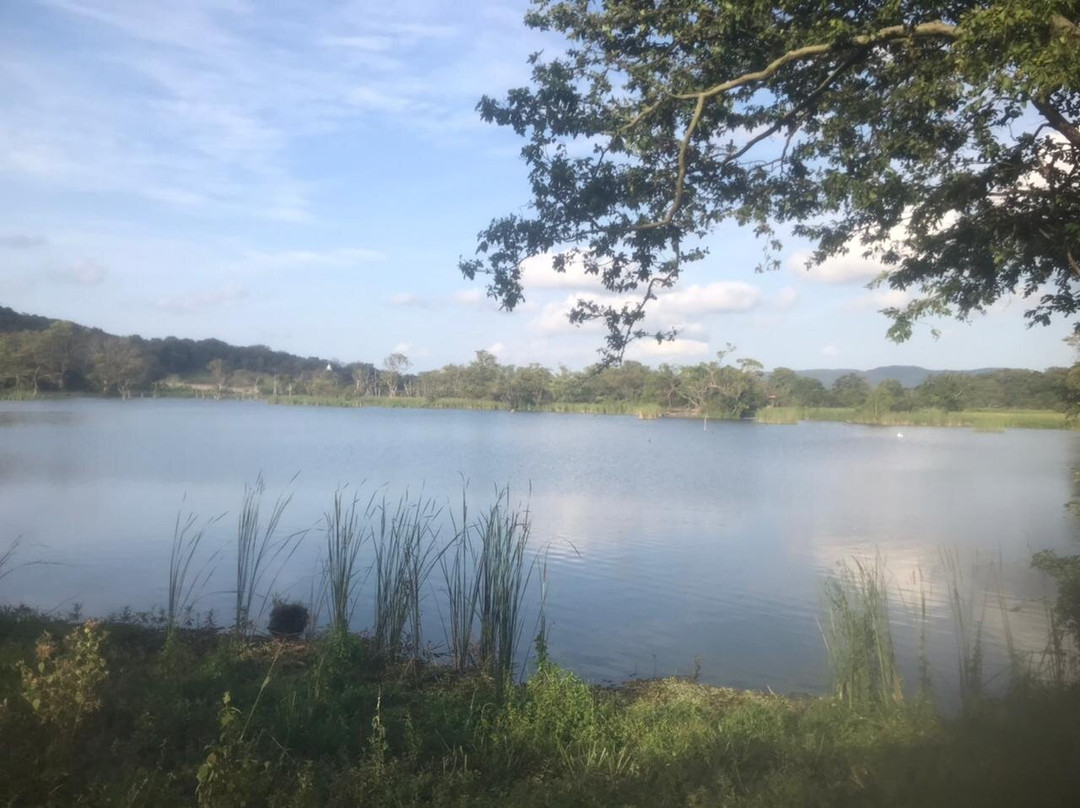 Kaludiya Pokuna Nature Walks-锡吉里亚必去景点