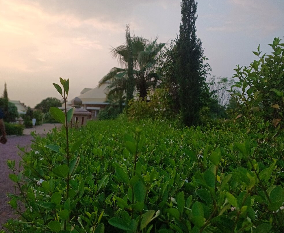 The Sawai Bagh主图