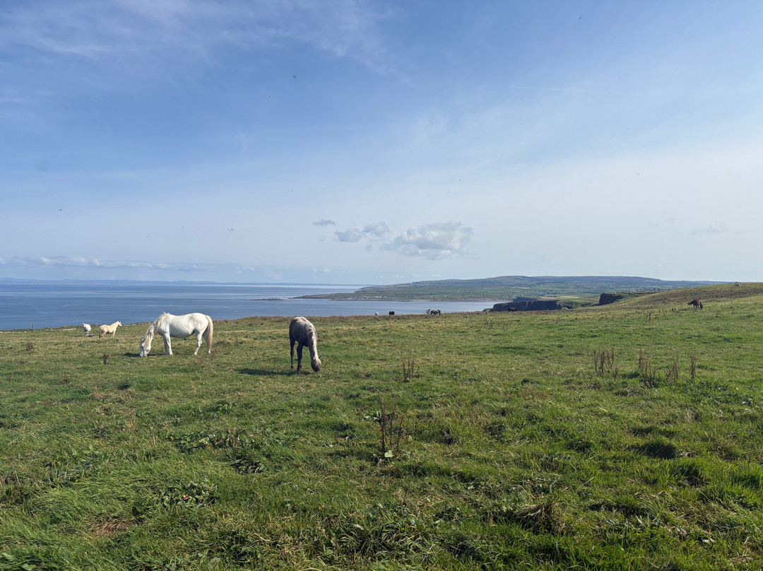 Doolin Cliff Walk-杜林必去景点