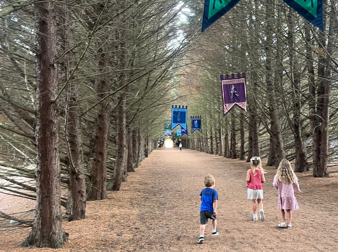 Wyvernwood-Alresford必去景点