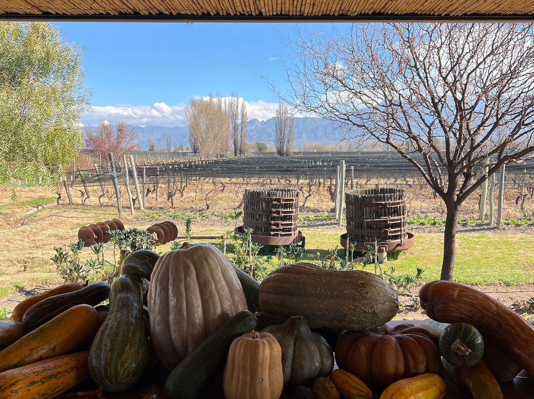 Riccitelli Wines & Bistró-路冉得库约必去景点