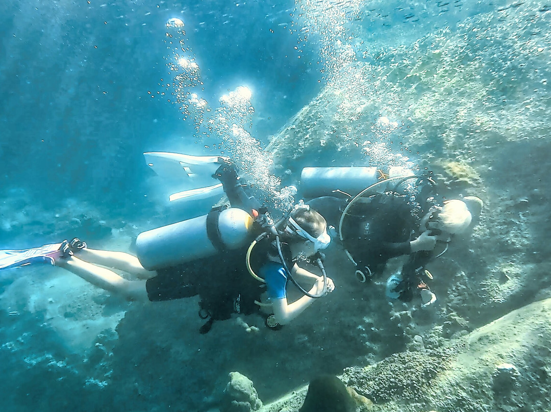 Scuba Birds International Dive Center-涛岛必去景点