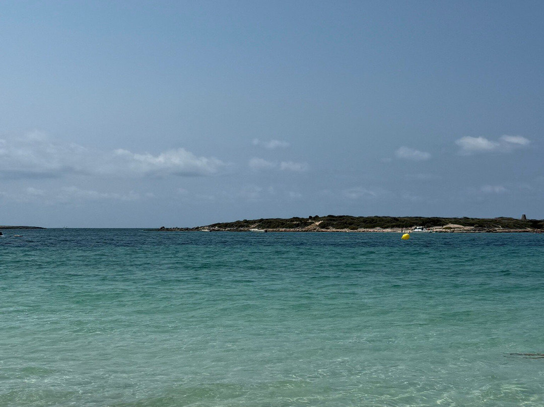 Platja D'es Carbo-Colonia de Sant Jordi必去景点