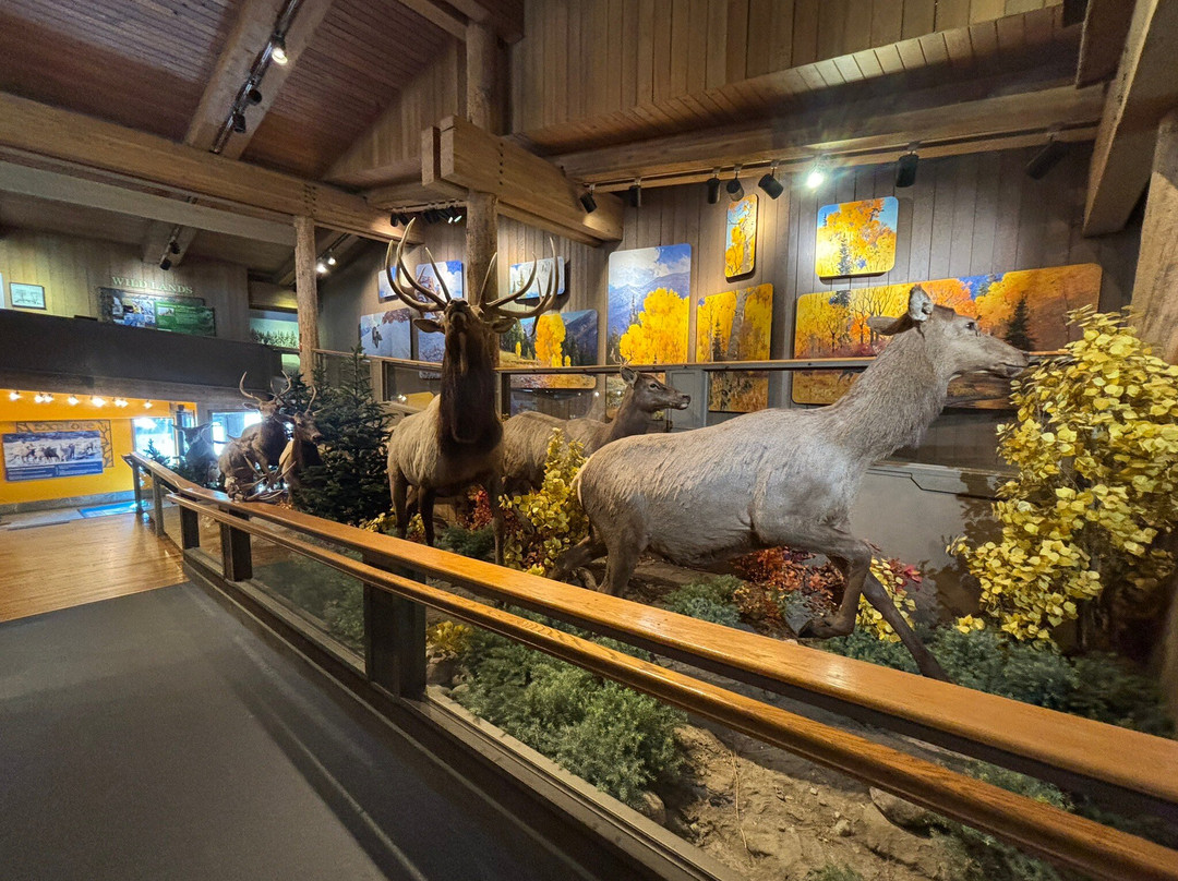 Jackson Hole & Greater Yellowstone Visitor Center-杰克逊必去景点