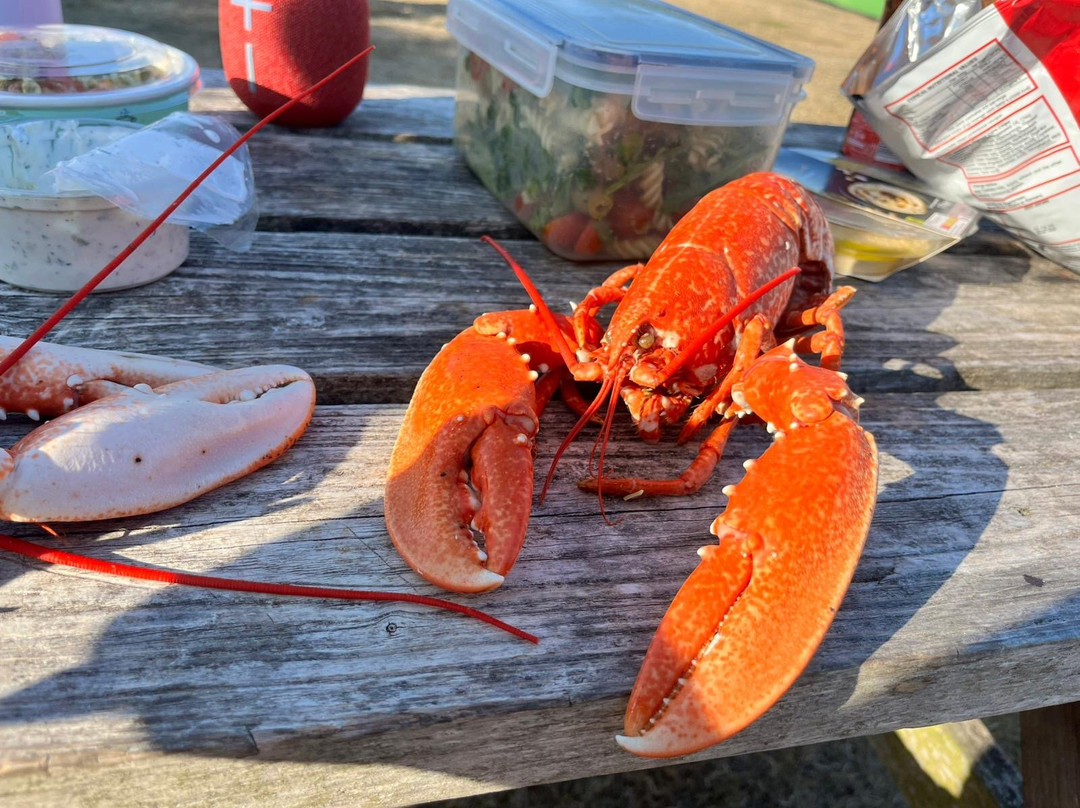 Sea Kayaking Cornwall-法尔茅斯必去景点