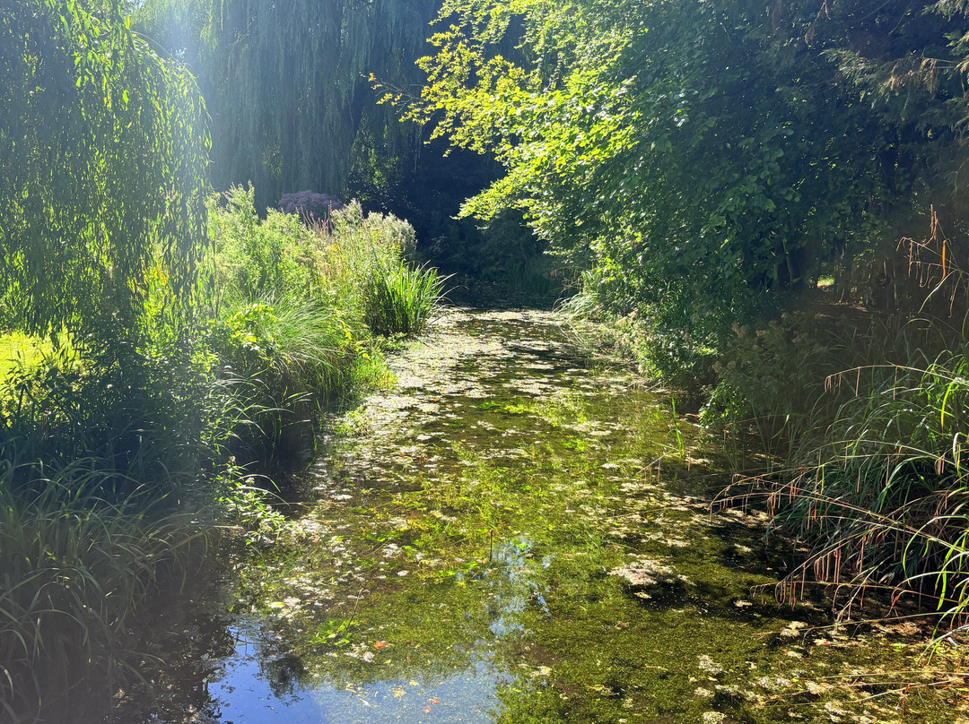 Gooderstone Water Gardens & Nature Trails-金斯林必去景点