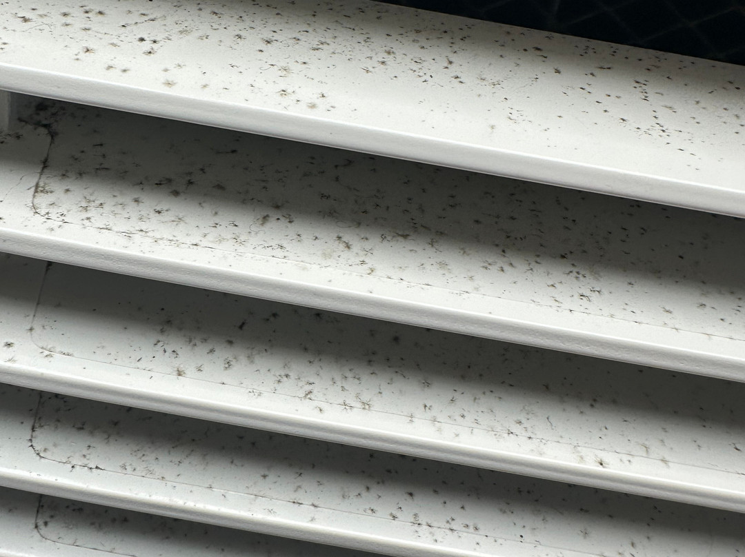 AmericInn by Wyndham Chanhassen主图