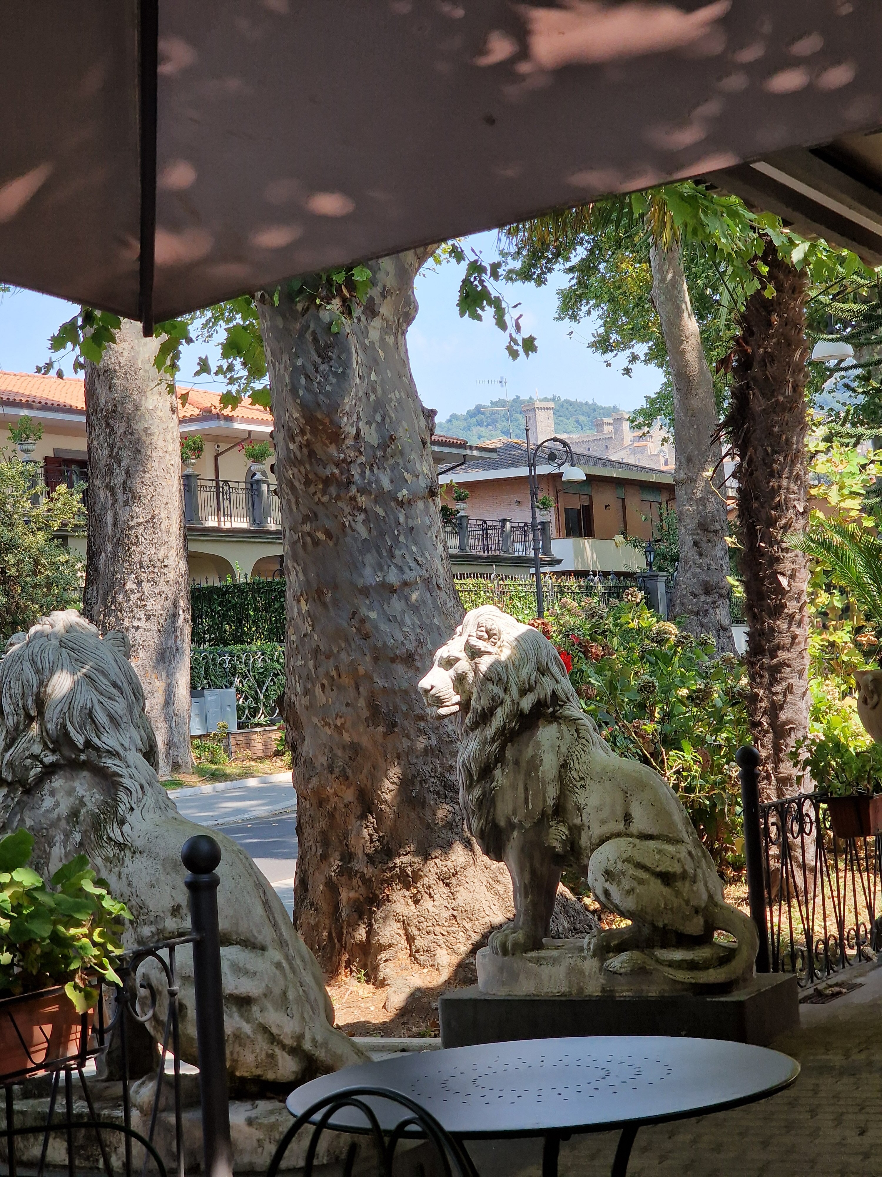 哥伦布酒店-官方