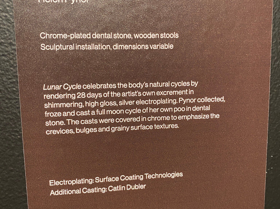 Bankstown Arts Centre-Yagoona必去景点