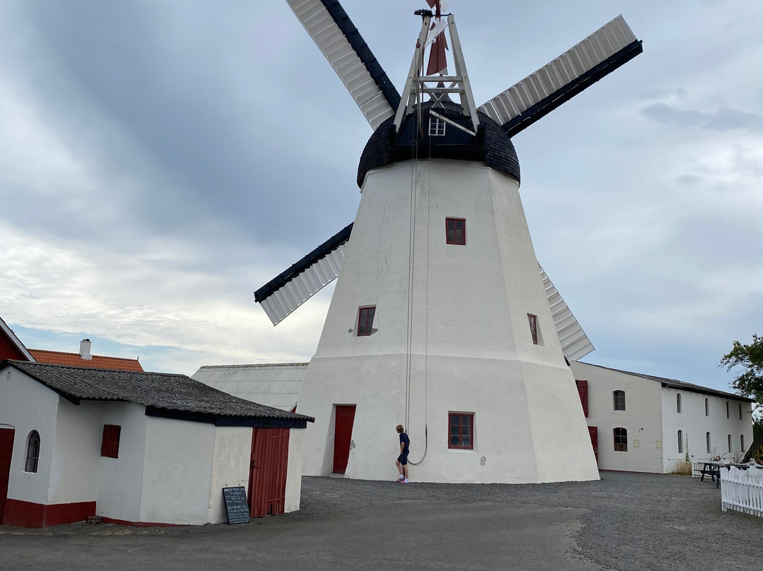 Aarsdale Mølle - Café, Museum & Butik-斯瓦讷克必去景点