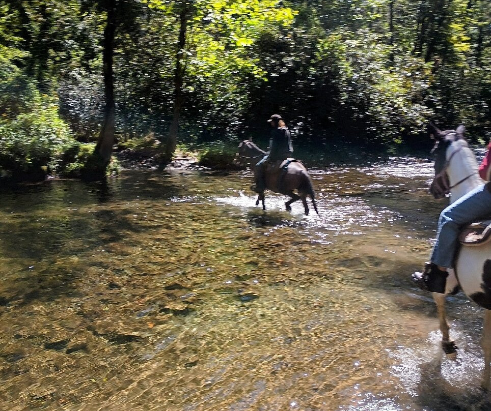 Smokemont Riding Stables-切罗基必去景点
