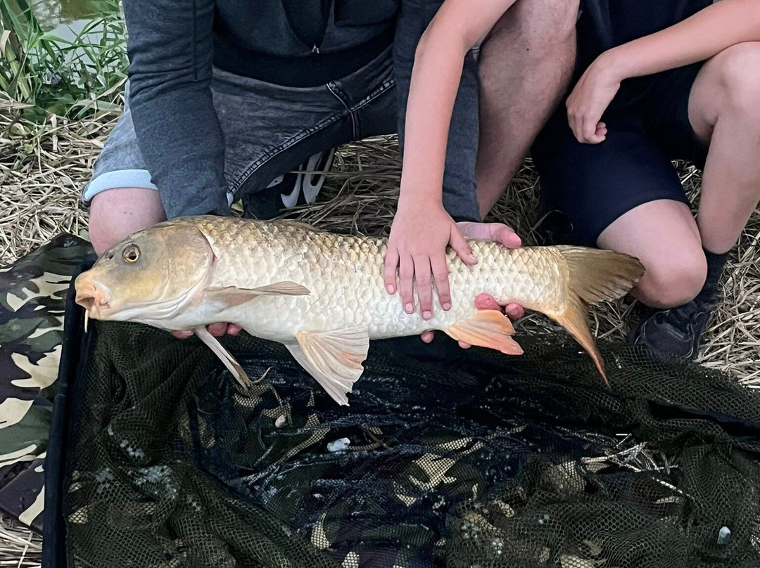 Marwell Activity Centre-Owslebury必去景点