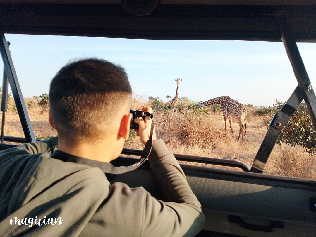 Tsavo East National Park-查佛必去景点