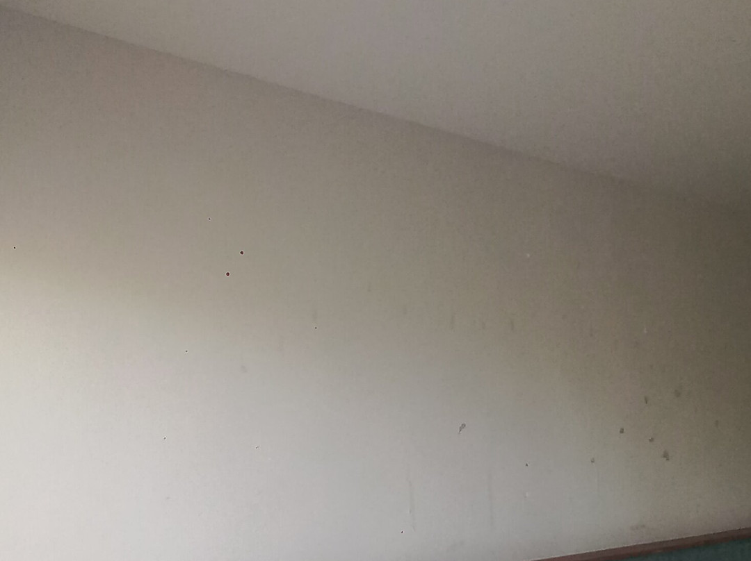 Hôtel Spa Iloma主图