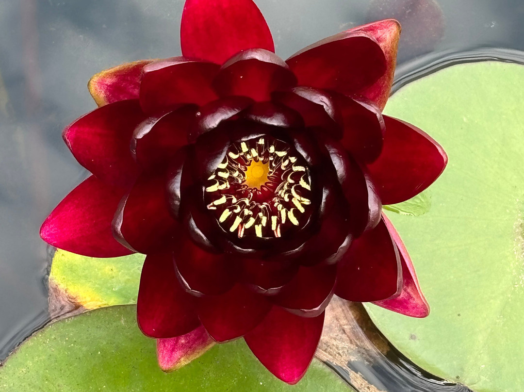 Les Jardins D'eau-Carsac-Aillac必去景点