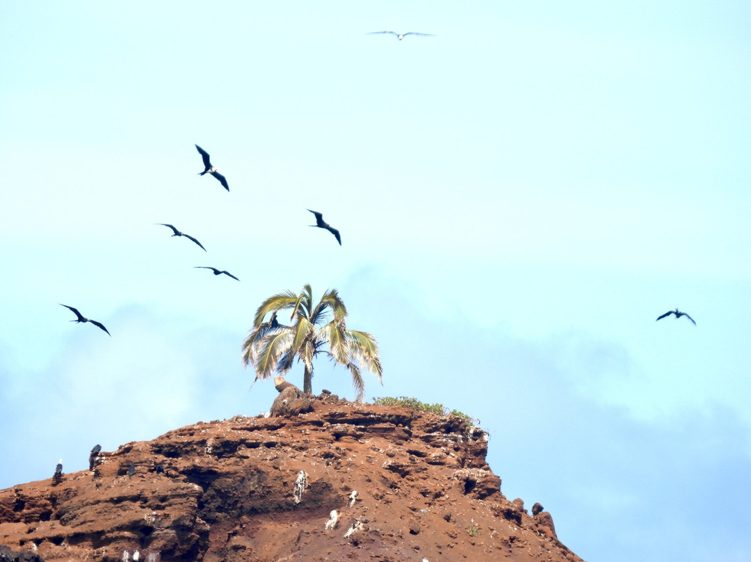 Experience Hawaii Tours-毛伊岛必去景点