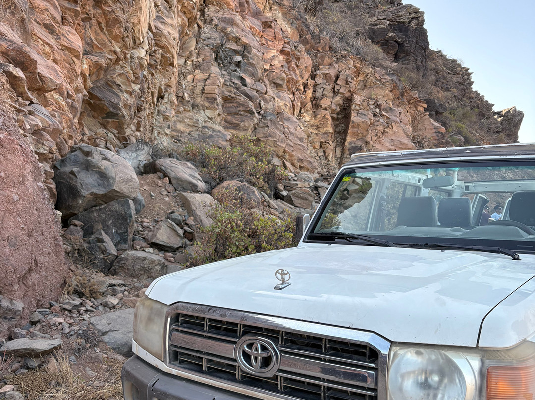 Viajes Tara Excursiones-马斯帕洛马斯必去景点