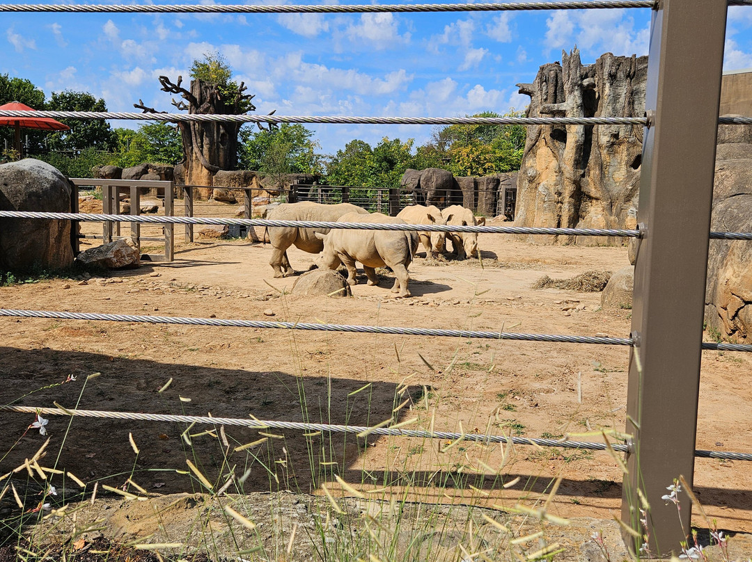 Zoo Knoxville-诺克斯维尔必去景点