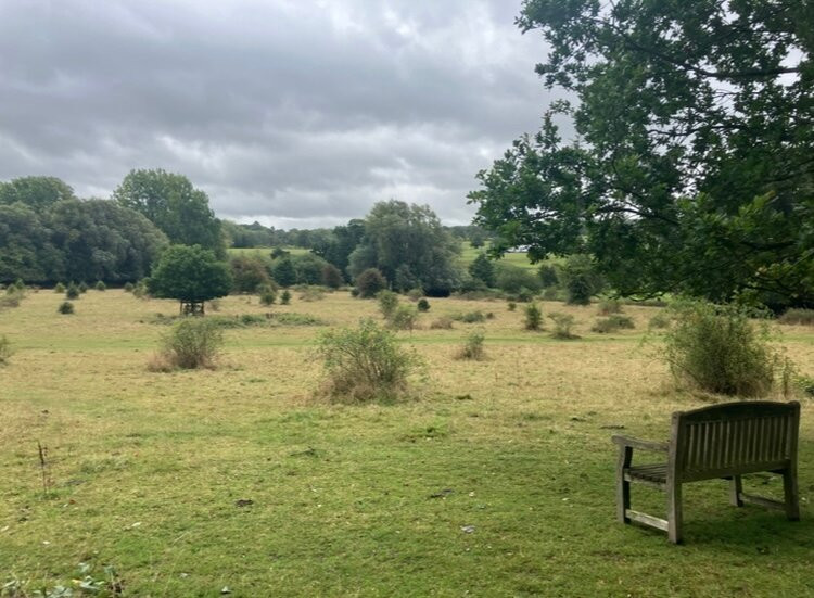 Teston Bridge Country Park-梅德斯通必去景点