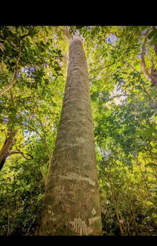 Diani By Day Tours-迪亚尼必去景点