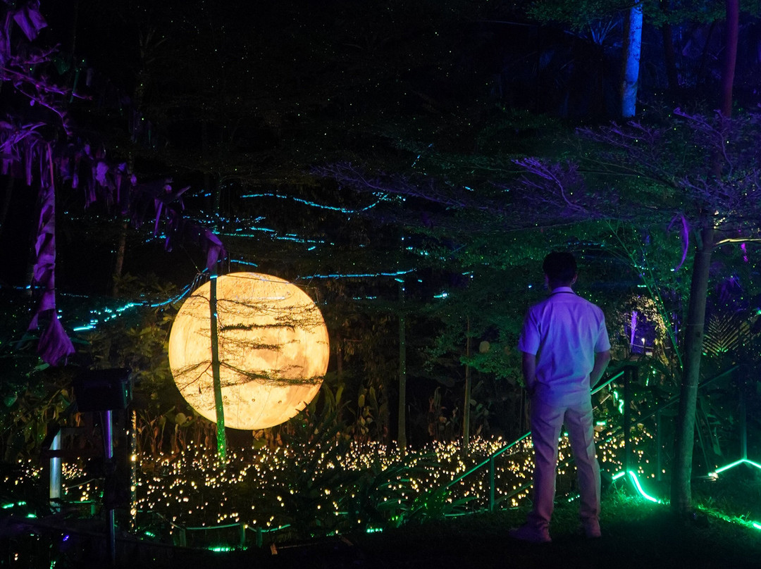 Hikaria: Bali's First Immersive Night Walk