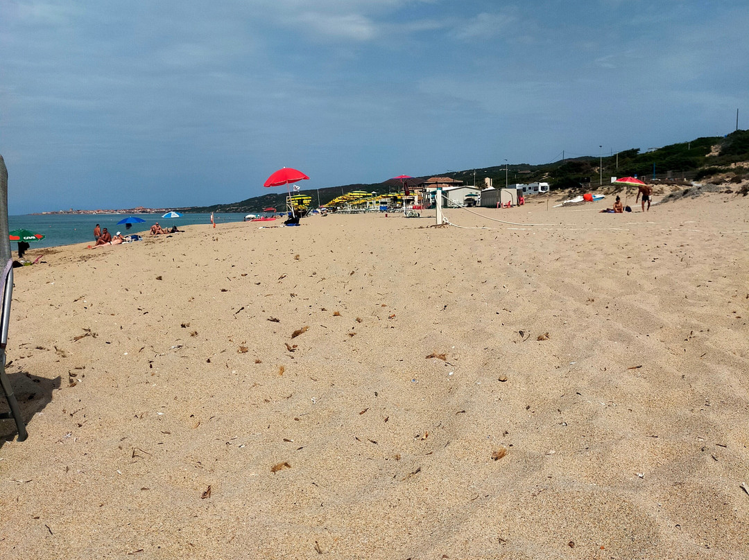 Spiaggia Li Junchi - Badesi-Badesi必去景点