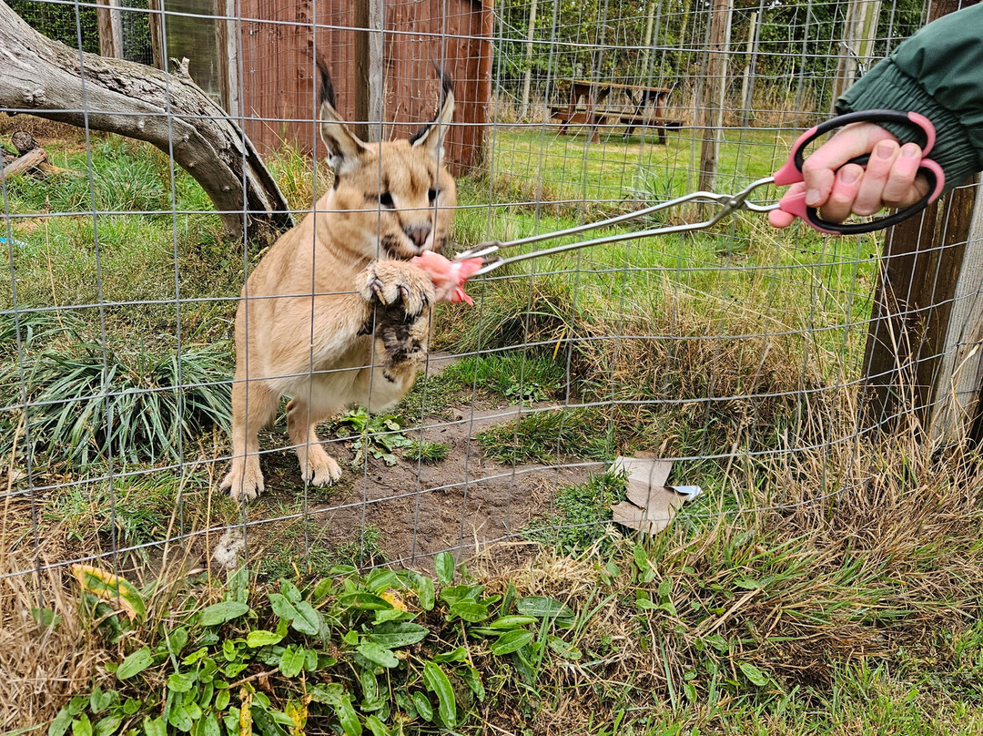 Ark Wildlife Park & Exotic Animal Sanctuary-Stickney必去景点
