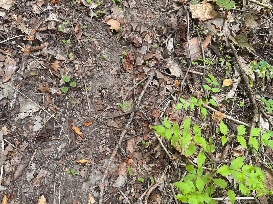 Ray Harral Nature Park-Broken Arrow必去景点