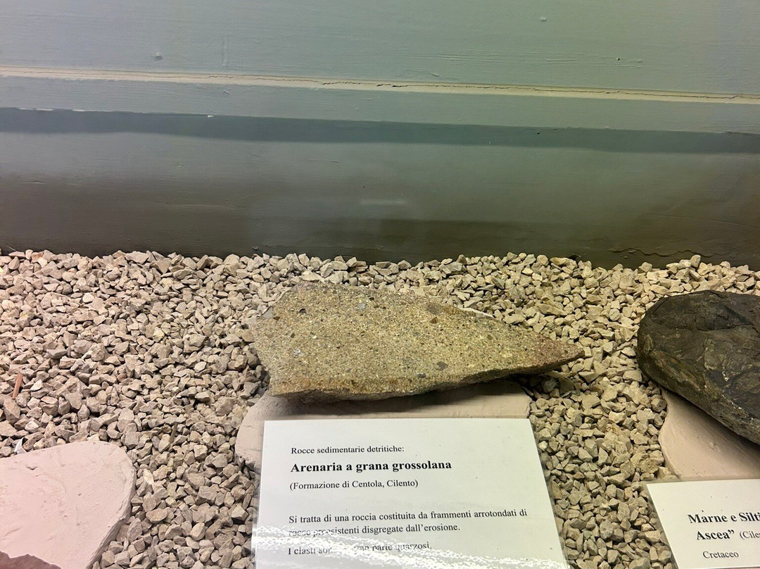 Museo Paleontologico-Magliano Vetere必去景点
