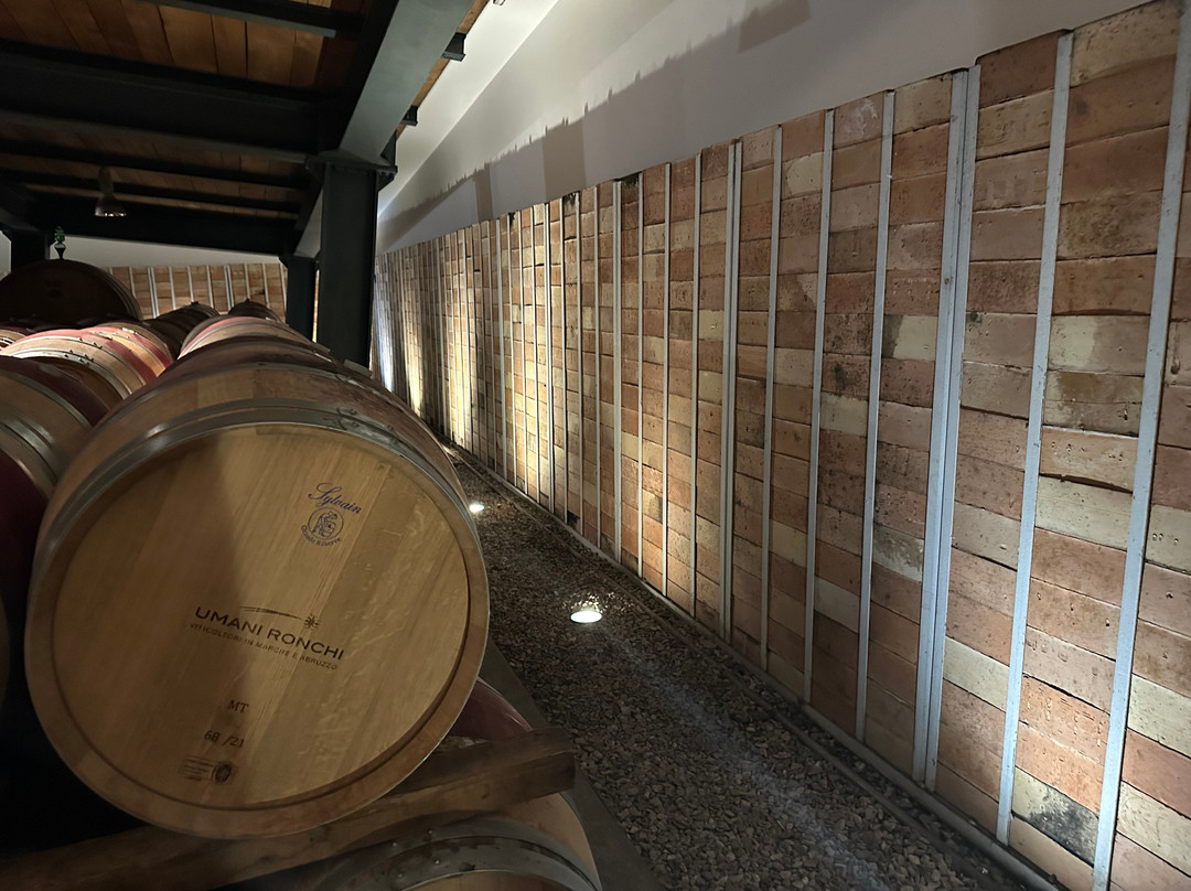 Umani Ronchi Winery