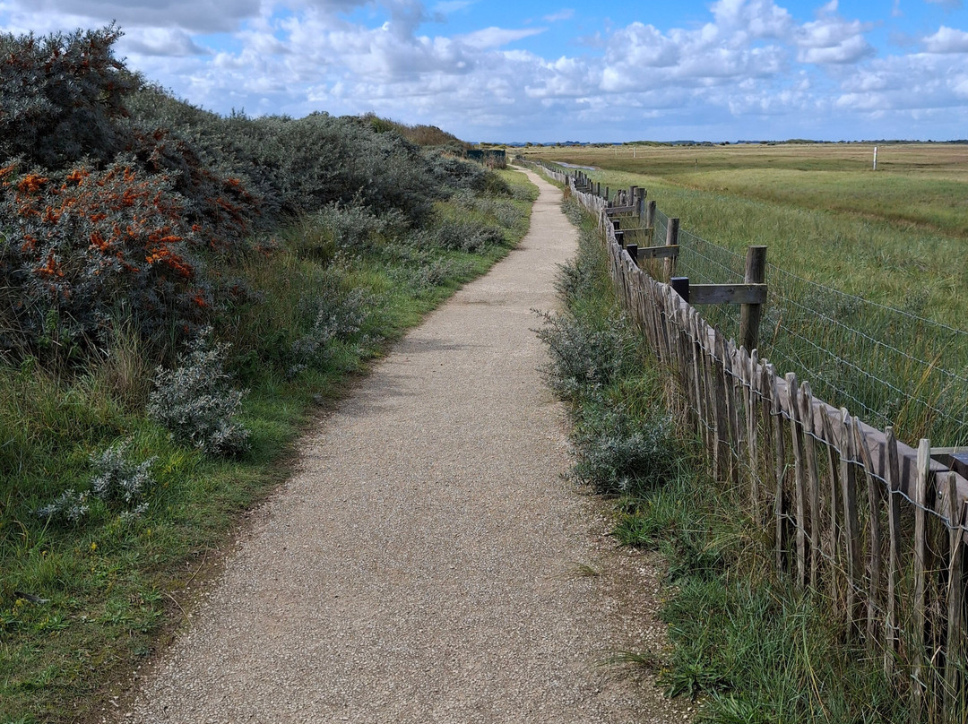 Donna Nook Nature Reserve-North Somercotes必去景点