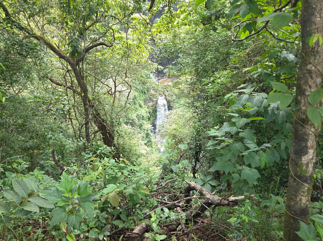 Netravali Wildlife Sanctuary-Netravali必去景点