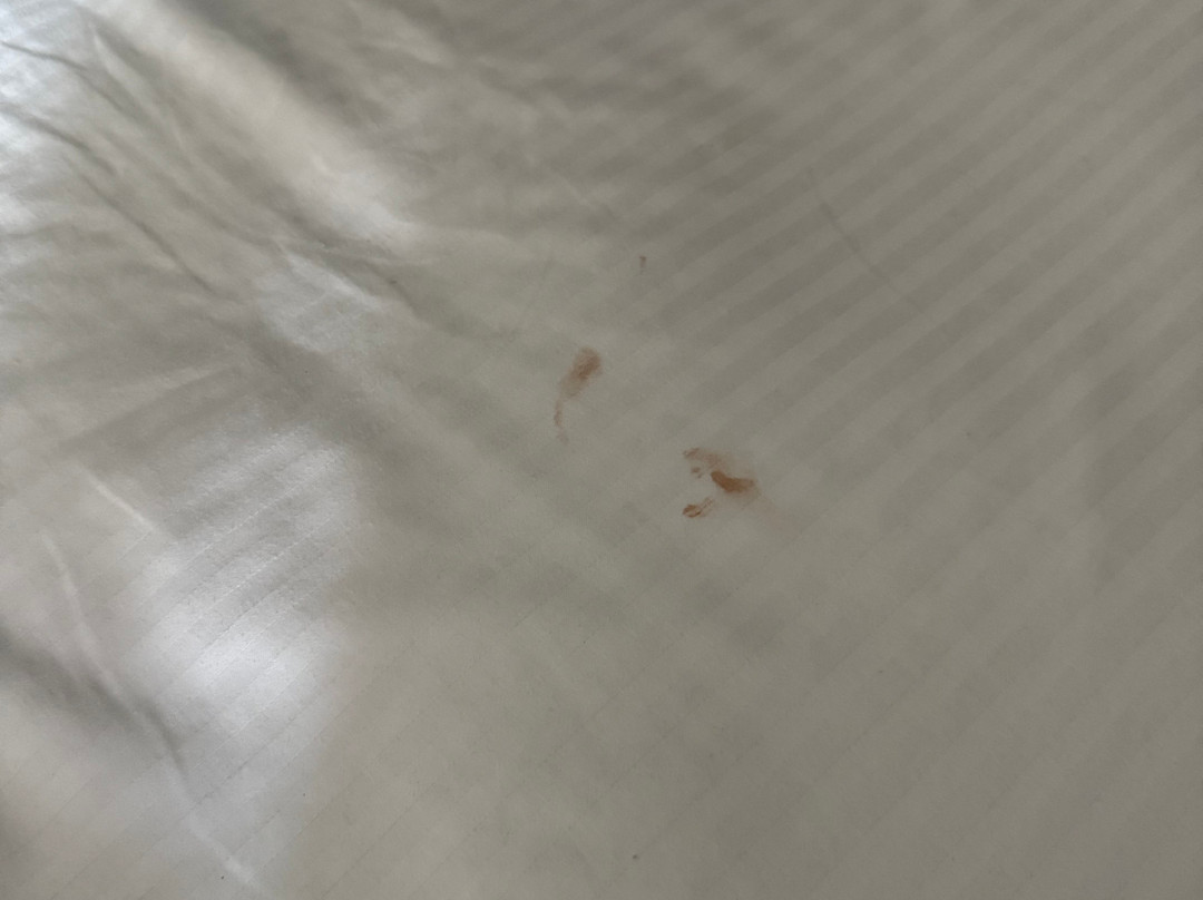 莫斯科帕尔曼拉金塔旅馆&套房酒店主图