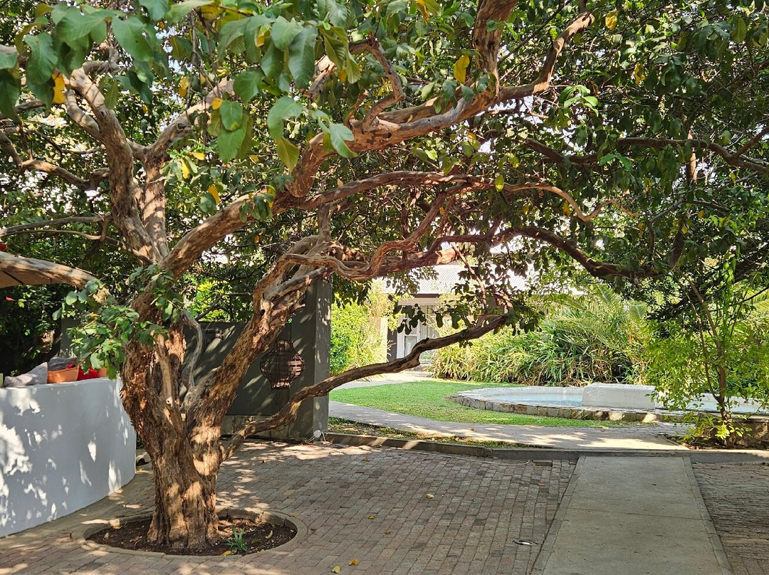 Village Boutique Hotel主图