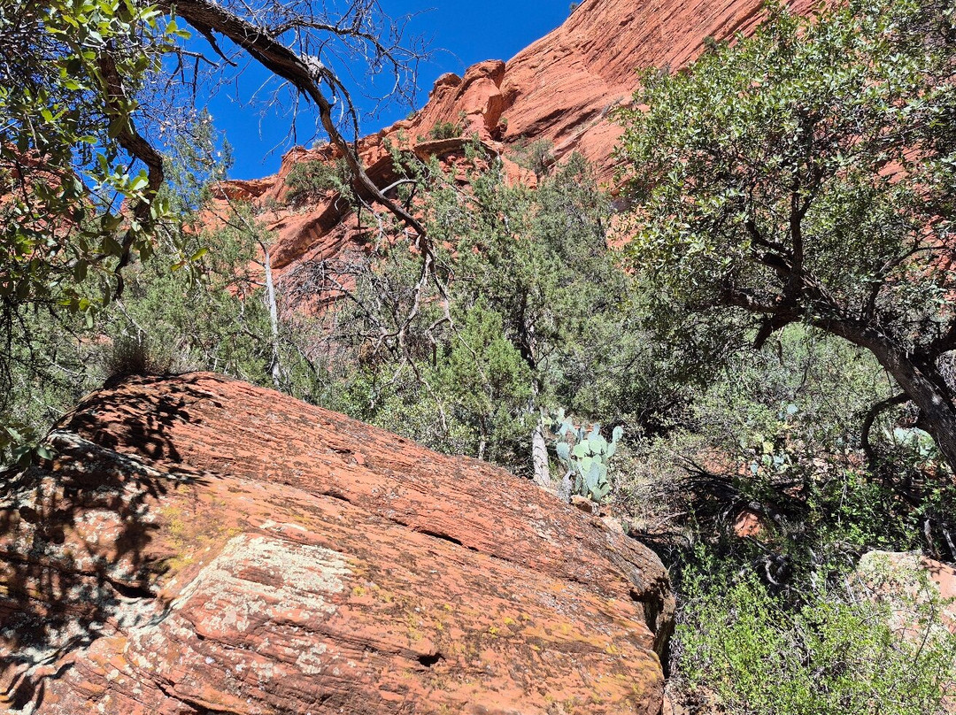 Palatki Heritage Site-塞多纳必去景点