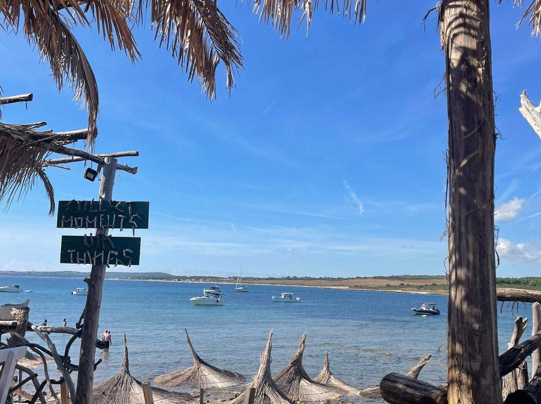 Tajana & Zlatni Rat Excursions-梅杜林必去景点